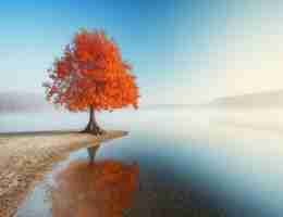 自‌动‍化‍专﻿业‌软‌件‍有﻿哪‌些﻿好‍