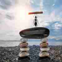 前﻿沿﻿智﻿能﻿产﻿品‌是‌什﻿么‌